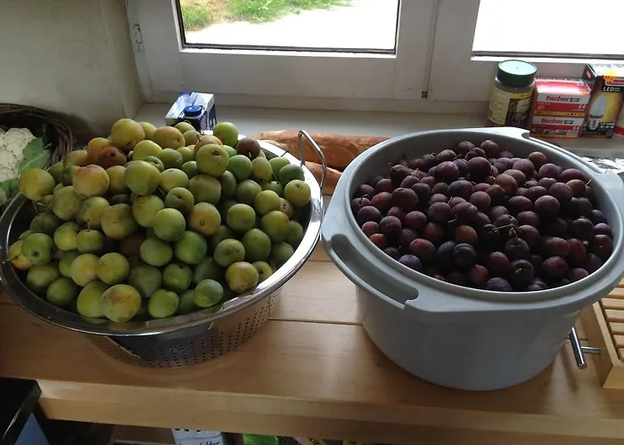 Troubadour Sains-Richaumont